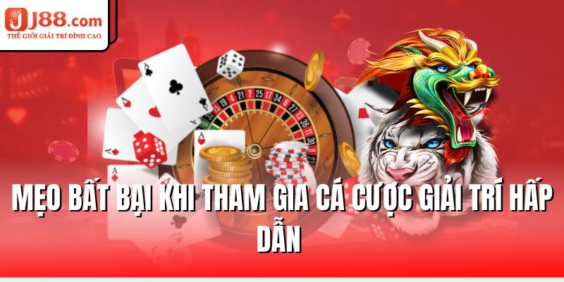 meo-bat-bai-khi-tham-gia-ca-cuoc-giai-tri-hap-dan